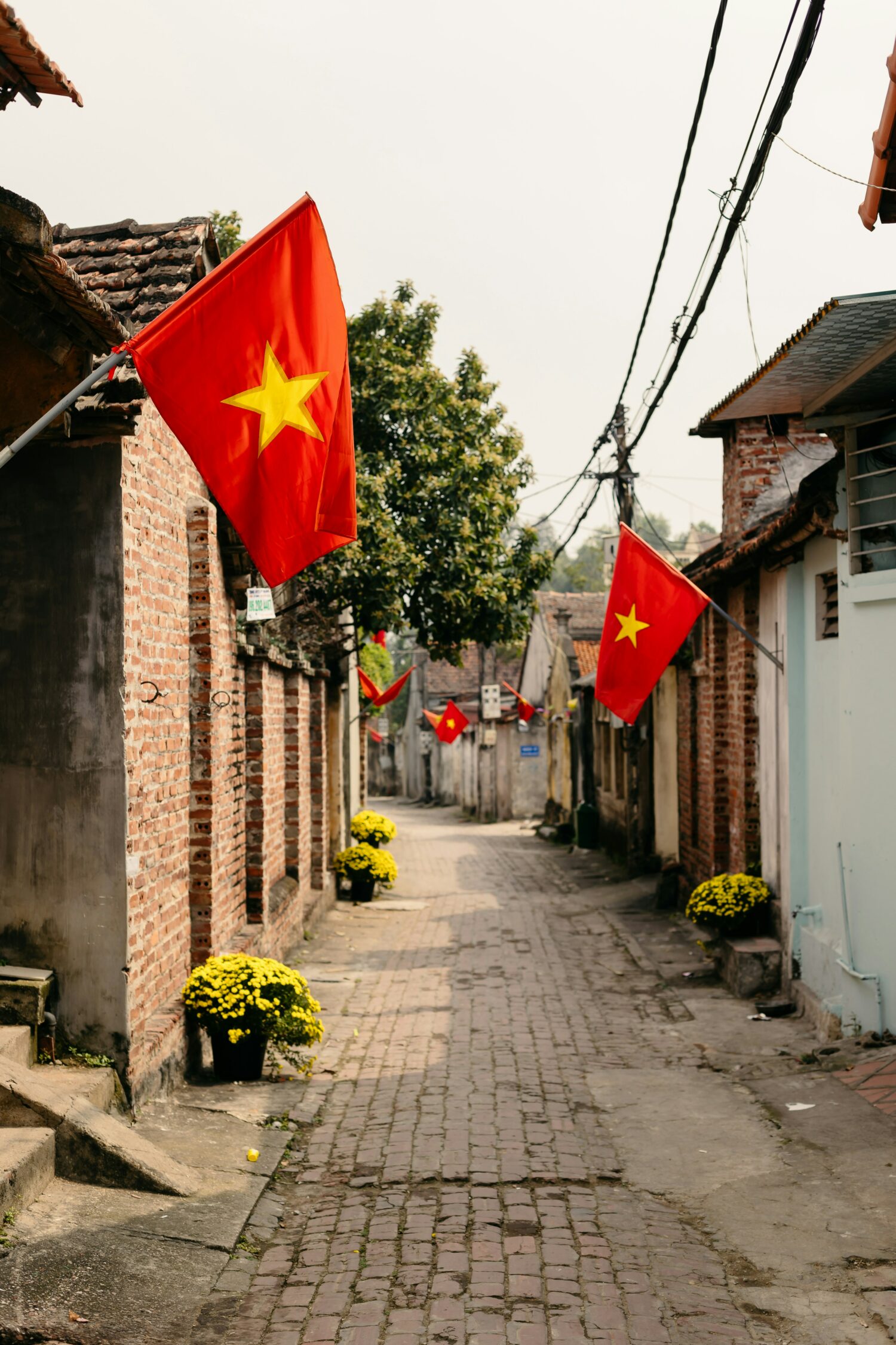 Joint Statement for the EU-Vietnam Human Rights Dialogue - ARTICLE 19